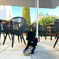 cafe kisa auchterarder perthshire